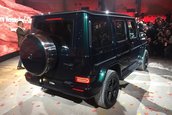 Mercedes G-Class - Poze reale