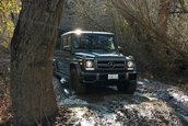 Mercedes G500 Grand Edition Pick-Up