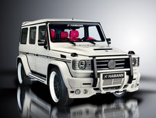 Mercedes G55 AMG by Hamann