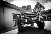 Mercedes G63 AMG by MCCHIP-DKR