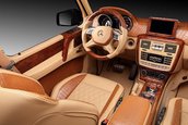Mercedes G65 AMG by TopCar