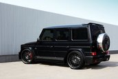Mercedes G65 AMG by TopCar