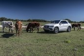 Mercedes GLE - Galerie foto