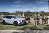 Mercedes GLE - Galerie foto