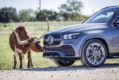 Mercedes GLE - Galerie foto