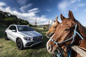 Mercedes GLE - Galerie foto