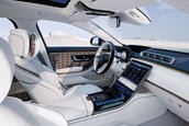 Mercedes-Maybach S-Class Haute Voiture
