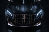 Mercedes-Maybach S600 by Scaldarsi Motors