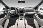 Mercedes ML by Vilner