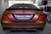 Mercedes S-Class cameleon