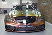 Mercedes S-Class cameleon