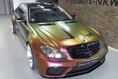 Mercedes S-Class cameleon