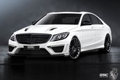 Mercedes S63 AMG by GSC