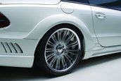 Mercedes SL by Wald International