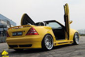 Mercedes SLK 170 Kompressor by Bucur Tuning