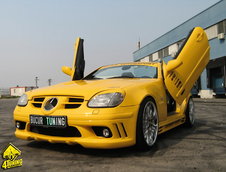 Mercedes SLK 170 Kompressor by Bucur Tuning