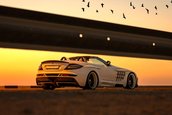 Mercedes SLR McLaren Roadster de la FAB Design