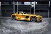 Mercedes SLS AMG Black Series by Carlex