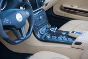 Mercedes SLS AMG Roadster by FAB Design