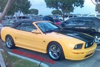 Metamorfoza Mustang Corvette