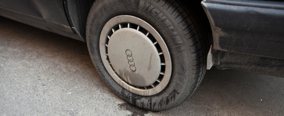 Michelin a inventat anvelopele anti-urina de catei Michelin a inventat anvelopele anti-urina de catei