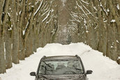Michelin Alpin