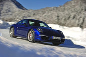 Michelin Alpin