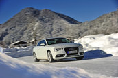 Michelin Alpin