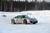 MICHELIN Pilot Alpin, noile anvelope de iarna destinate masinilor performante