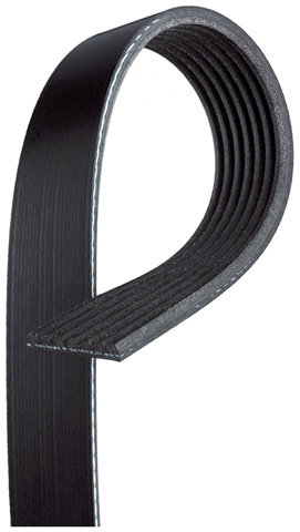 Micro-v® Gates Isuzu 7PK1095