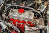 Mini 1000 HLE by Tickford