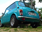 Mini 1000 Mayfair