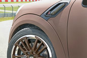 Mini Countryman by Wetterauer