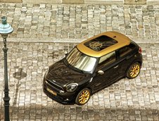 Mini Paceman by Roberto Cavalli
