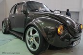 Mircea L