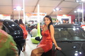mm83vlp