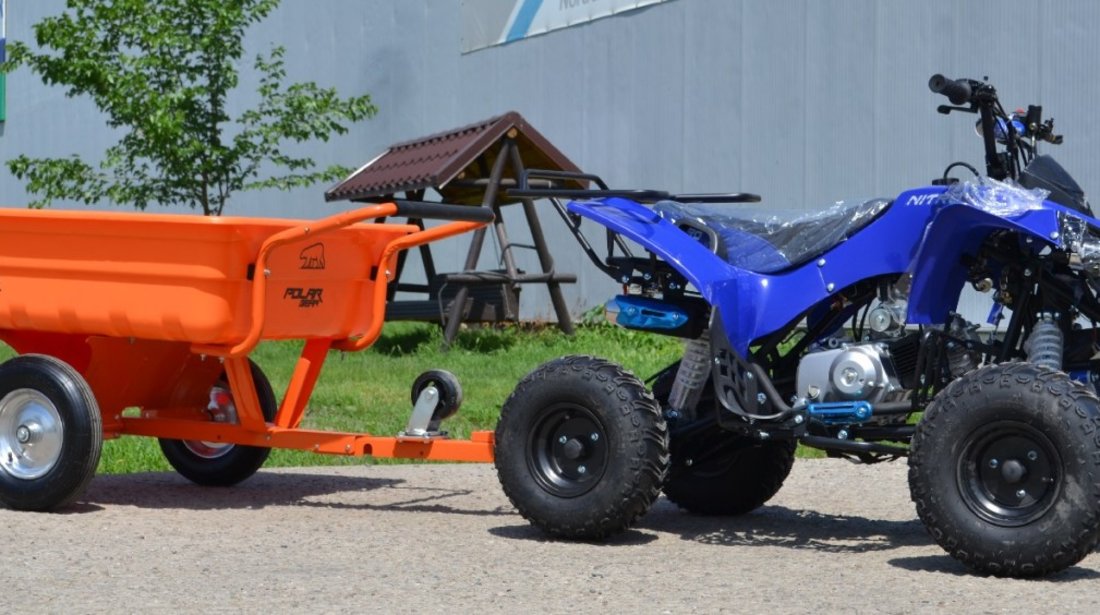 Model Nou:ATV  Renegade 125 CC  NOU +BONUS-TRUSA DE SCULE