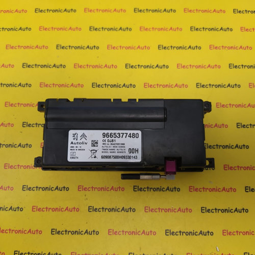 Modul Bluetooth Citroen C5, 9665377480, 6090875