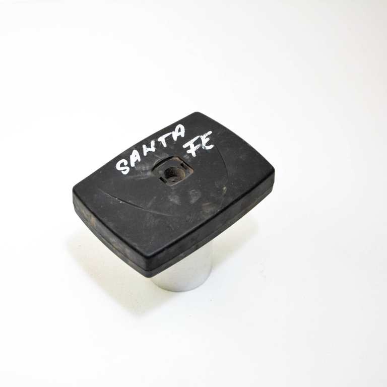 Modul Bluetooth Hyundai SANTA FE 1 (SM) 2000 - 2006