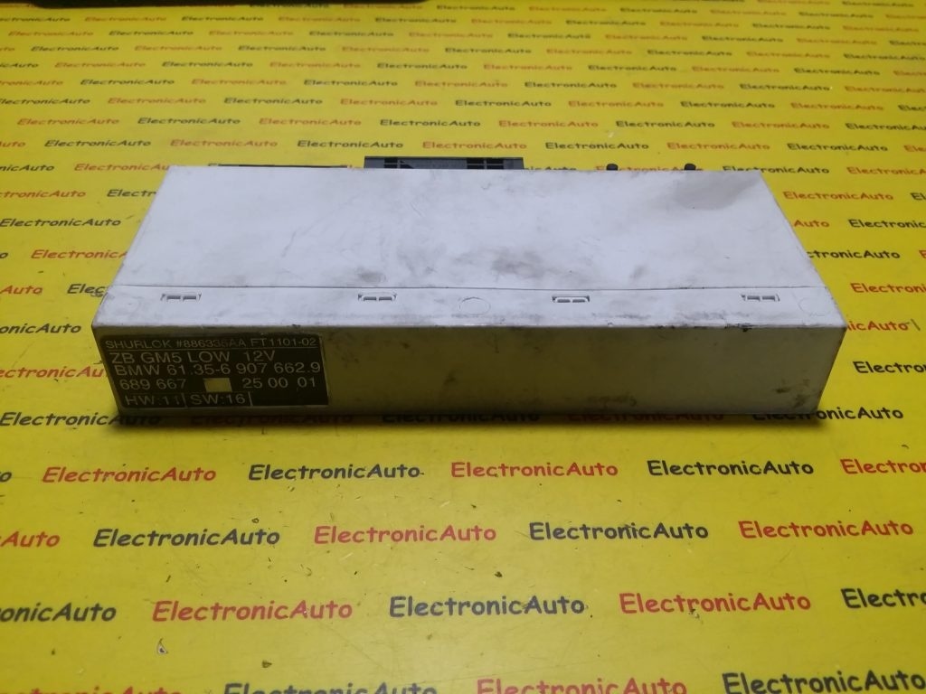 Modul Confort BMW 613569076629, 689667, 250001