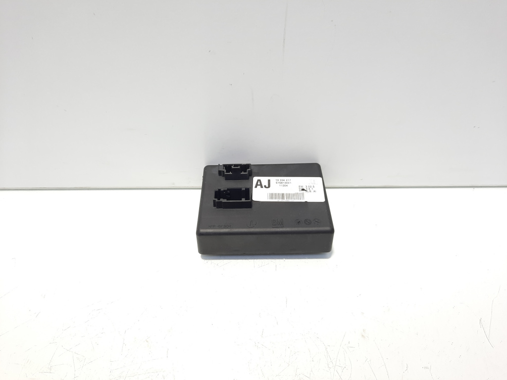 Modul unitate control, cod 13334217, Opel (idi:500893)