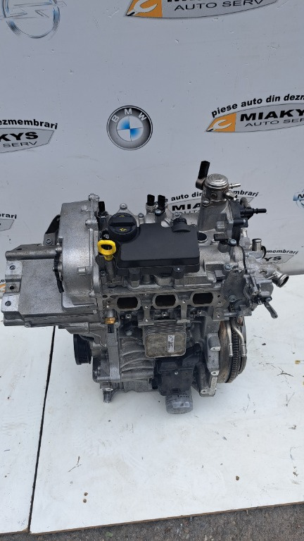 Motor 1.0 TFSI Cod DLA Skoda Karoq Octavia 4 Kamiq Fabia Scala VW T-Roc VwW Polo vi 10.000 km