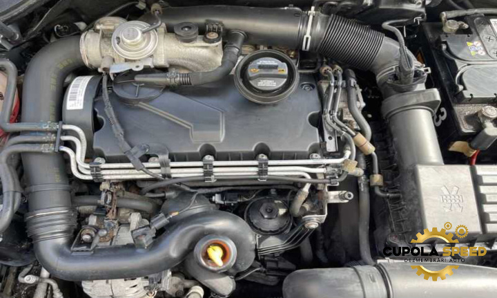 Motor 1.9 tdi BXE BKC Seat Leon 2 1P [2005 - 2009]