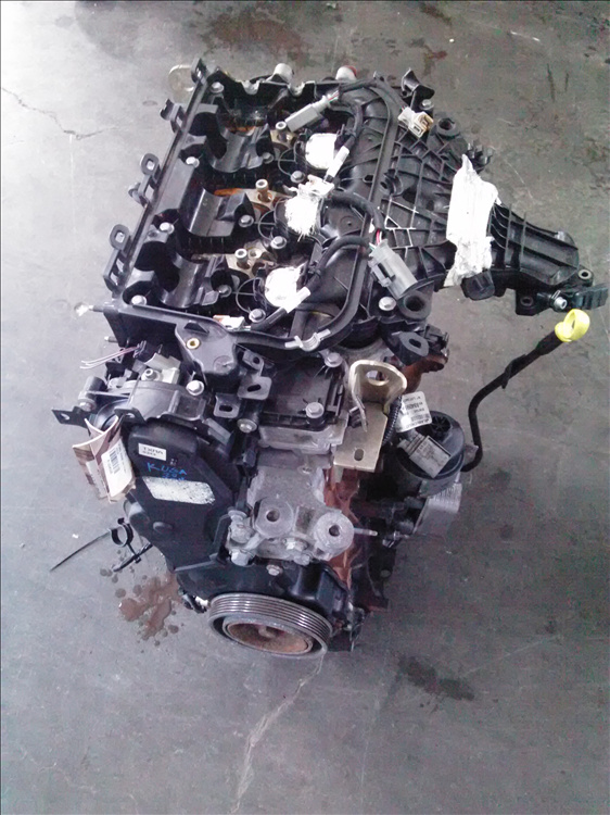 Motor 2.0 d FORD KUGA an fabr. 2014