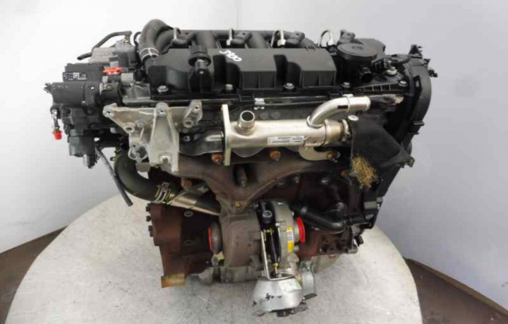 Motor 2.0 Tdci QXBA Ford Kuga