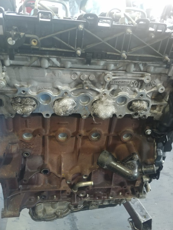 Motor 2.0 tdci ufma ford kuga 2