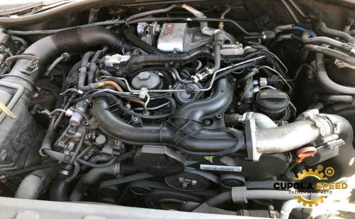 Motor 3.0TDI BUG 190.000Km Audi Q7 4L [2005 - 2009]
