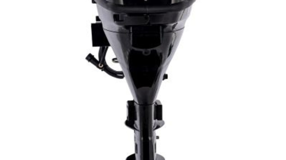 Motor Barca Outboard Parsun F9.8 209.0 cm³ 9.8 HP F9.8FWL