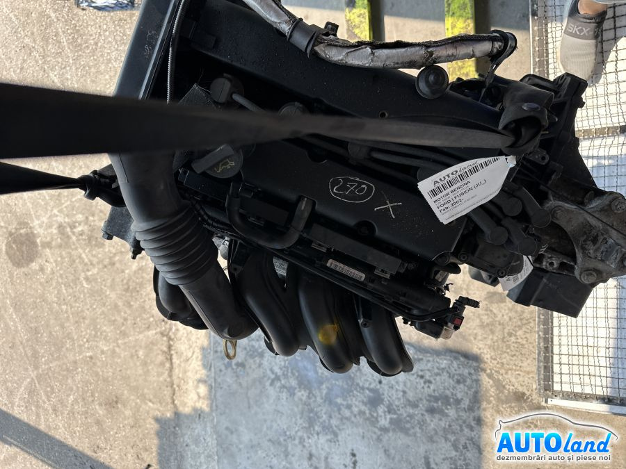 Motor Benzina Fuja 1.25, 55KW / 75CP Ford FUSION JU 2002