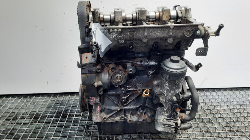 Motor, cod BKC, Audi A3 (8P1), 1.9 TDI (pr:110747)